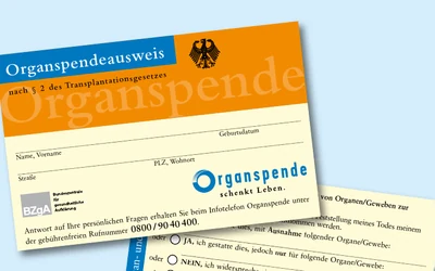 WJ Organspende